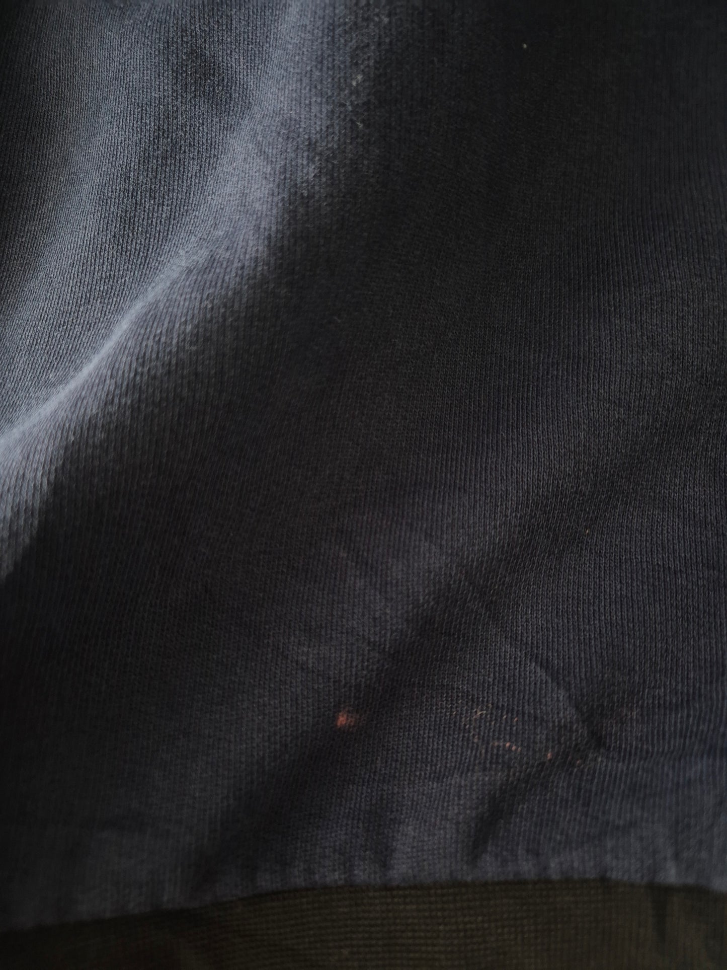 Lacoste Sweatshirt Heren | Blauw | Maat M